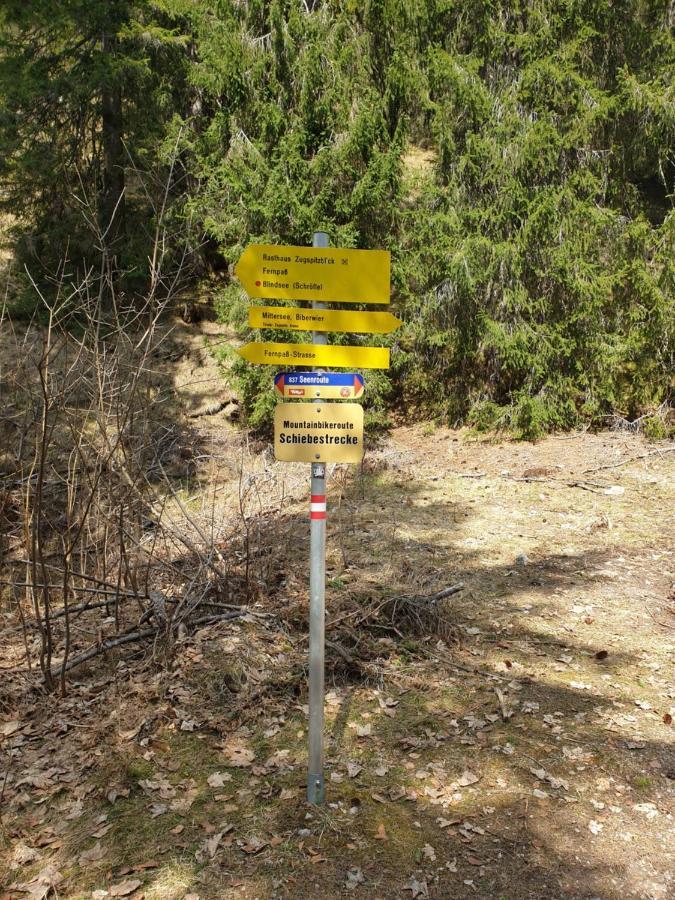 Haus Guem Lägenhet Ehrwald Exteriör bild
