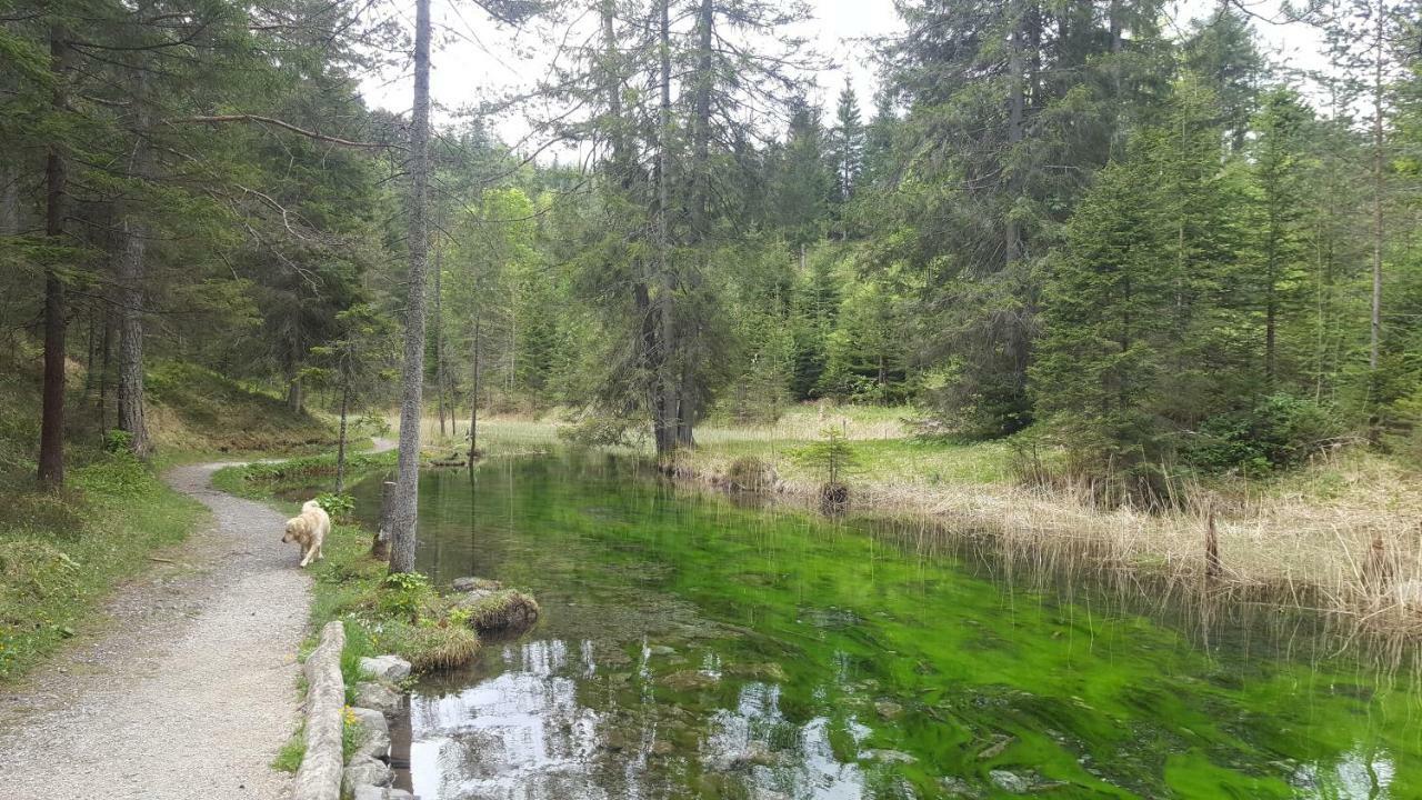 Haus Guem Lägenhet Ehrwald Exteriör bild
