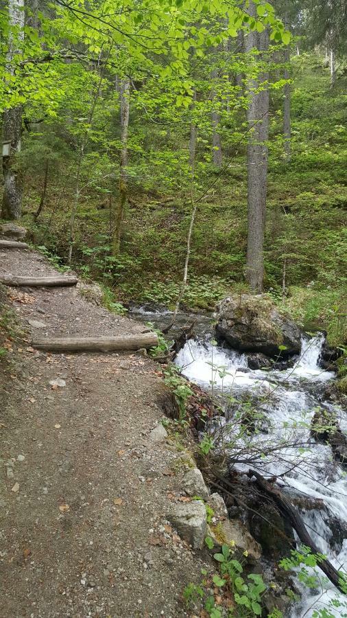 Haus Guem Lägenhet Ehrwald Exteriör bild