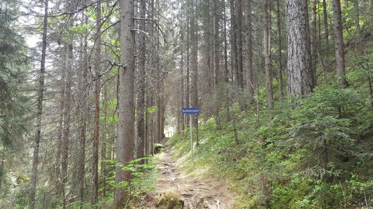 Haus Guem Lägenhet Ehrwald Exteriör bild